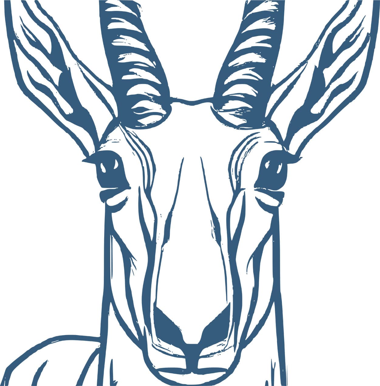 Antelope illustration